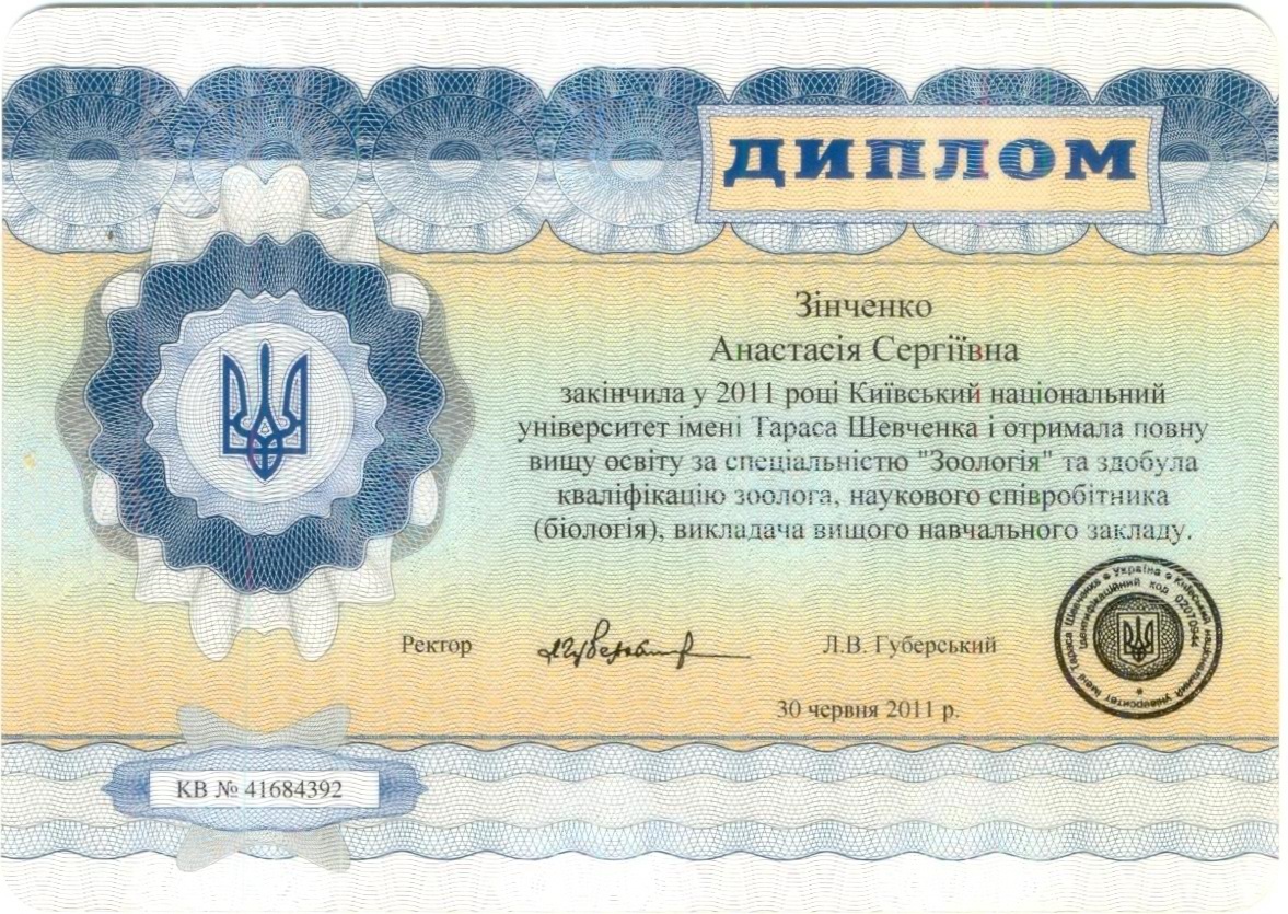 зображення Диплом магістра